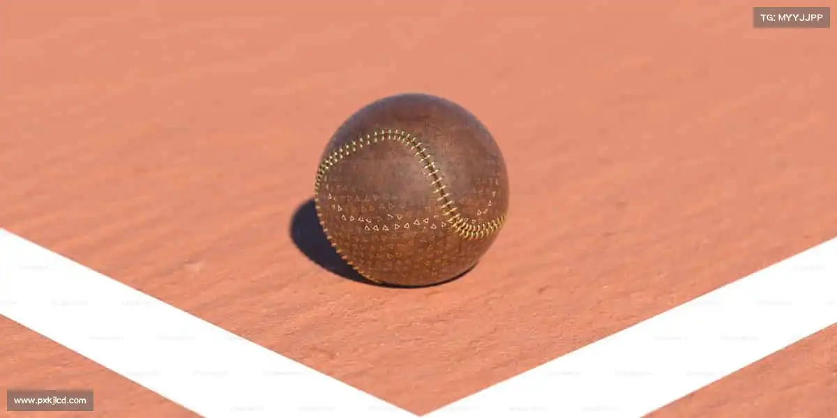 为什么选择我们